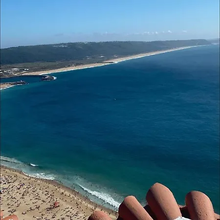 Ddm - O Paraíso Do Sítio Da *