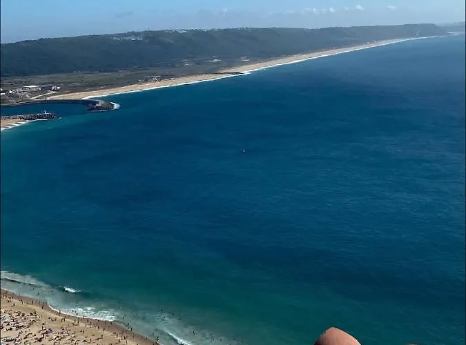 Ddm - O Paraiso Do Sitio Da *